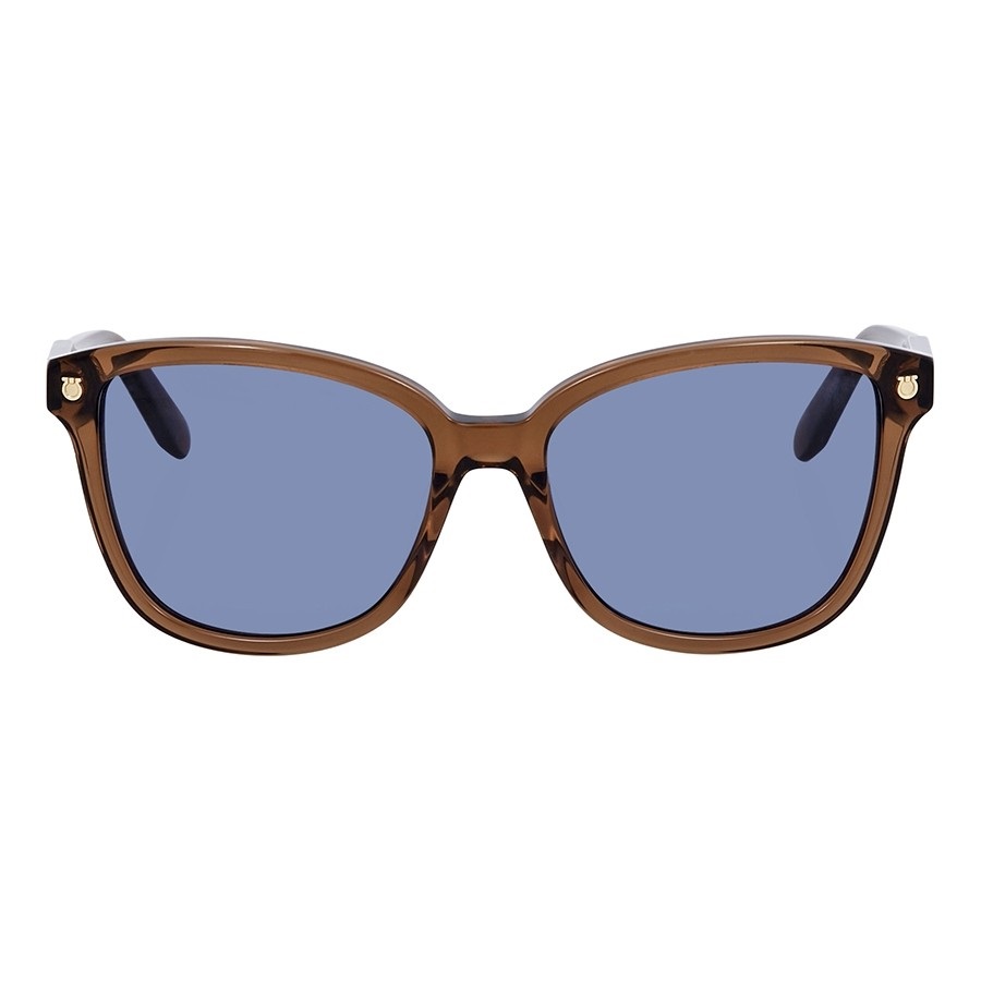 Salvatore Ferragamo Sunglasses SF815S Brown